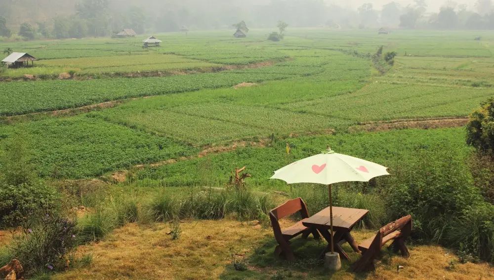 Farm Living in kurnool